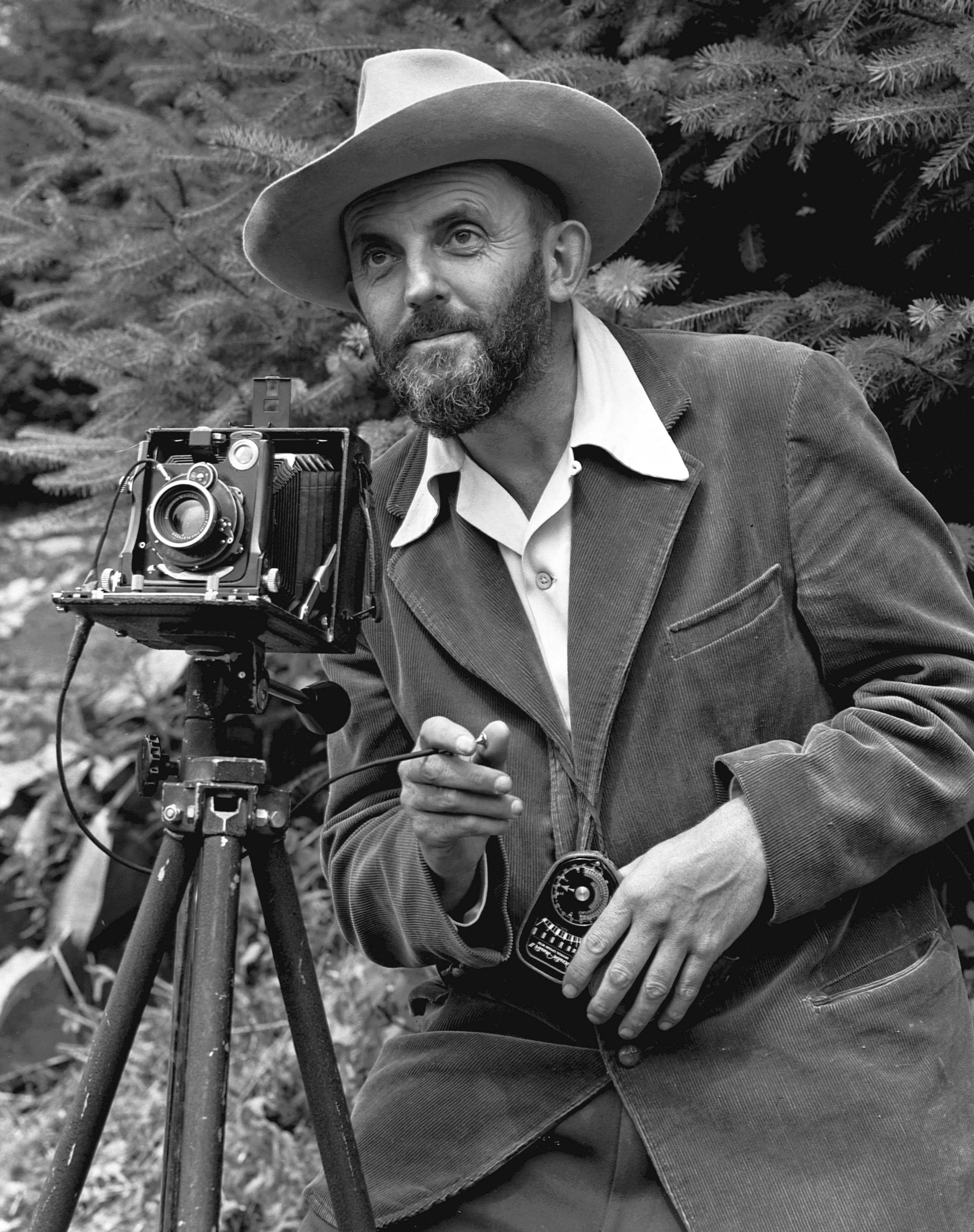 Ansel Adams: The Master of Light and Mountain