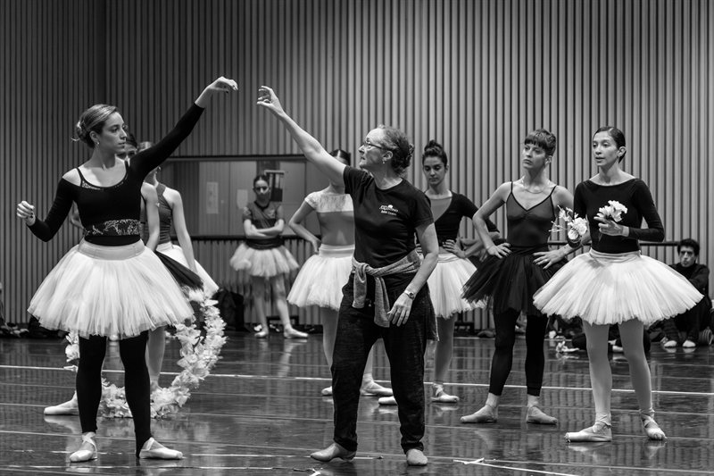 Ensayo
