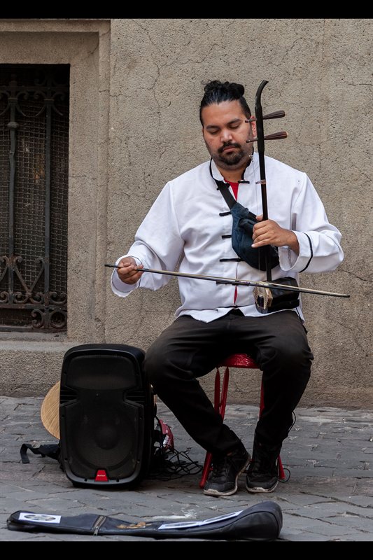 Músico